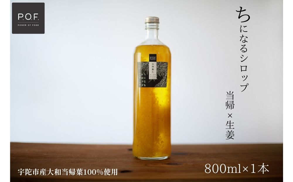 ちになるシロップ 大和当帰×生姜 800ml 1本／POWER OF FOOD ふるさと納税 生姜 シロップ 瓶  ガラス瓶 国産 食材 炭酸 大和当帰葉 有機 お湯割り 甜菜糖 ハチミツ はちみつ 送料無料 ち 奈良県 宇陀市