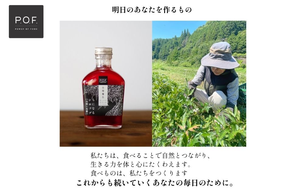 ちになるシロップ 大和当帰×芍薬 800ml 1本／POWER OF FOOD ふるさと納税 芍薬 シロップ 瓶 ガラス瓶 国産 食材 炭酸 大和当帰葉 有機 お湯割り 甜菜糖 ハチミツ はちみつ 送料無料 ち 奈良県 宇陀市