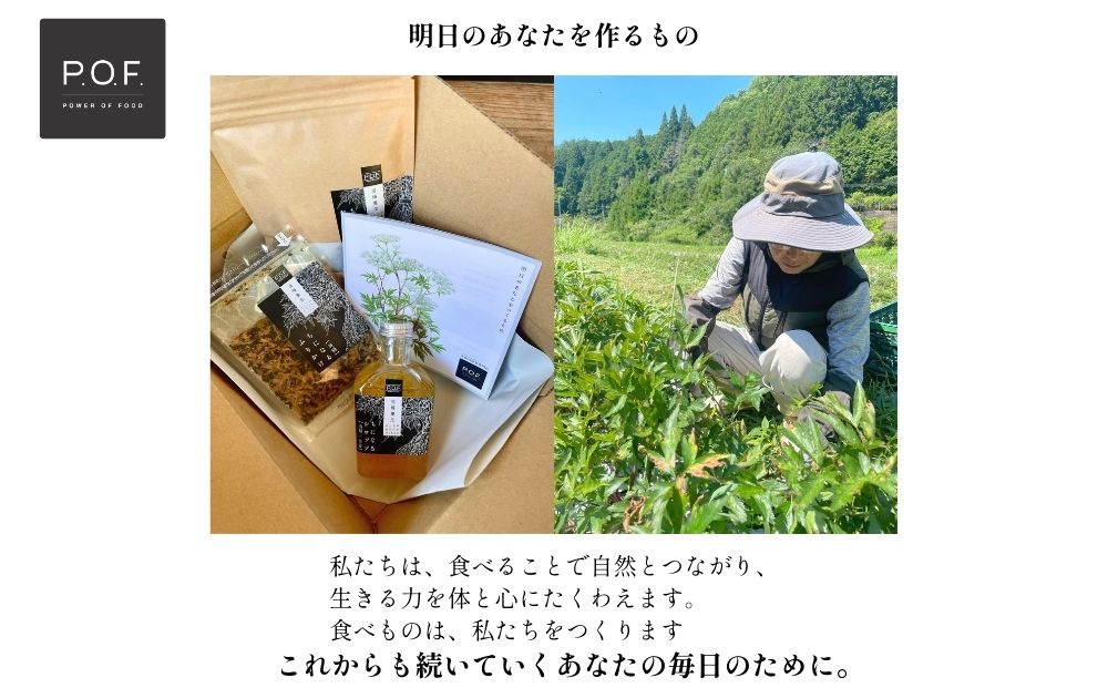 大和当帰葉商品「ちになるシリーズ」温活セット ／POWER OF FOOD ふるさと納税 生姜 シロップ 瓶 ガラス瓶 国産 食材 炭酸 大和当帰葉 有機 お湯割り 甜菜糖 ハチミツ ふりかけ お茶 ご飯 はちみつ 送料無料 ち 奈良県 宇陀市
