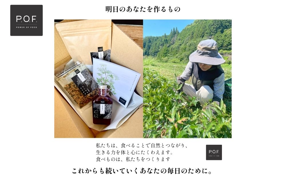 大和当帰葉商品「ちになるシリーズ」血活セット ／POWER OF FOOD ふるさと納税 芍薬 シロップ 瓶 ガラス瓶 国産 食材 炭酸 大和当帰葉 有機 お湯割り 甜菜糖 ハチミツ ふりかけ お茶 ご飯 はちみつ 送料無料 ち 奈良県 宇陀市
