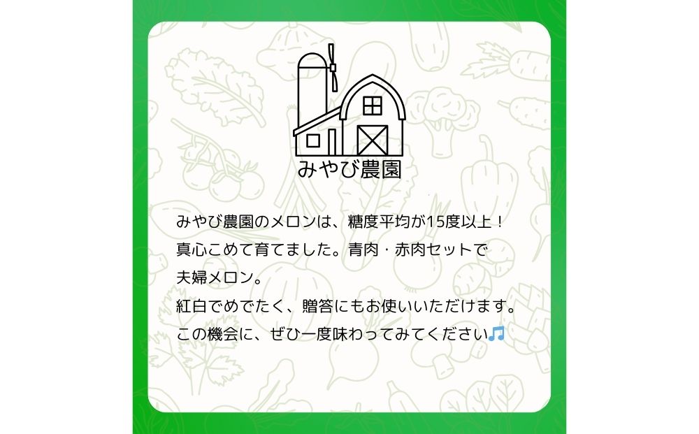 糖度15度以上 !!＜令和７年産先行予約受付中 / 数量限定＞宇陀市産 夫婦メロン 計2玉(青肉・赤肉 各1玉ずつ)／ みやび農園 メロンセット 贈答 贈り物 紅白お祝い 食べ比べ 奈良県 宇陀市 ふるさと納税