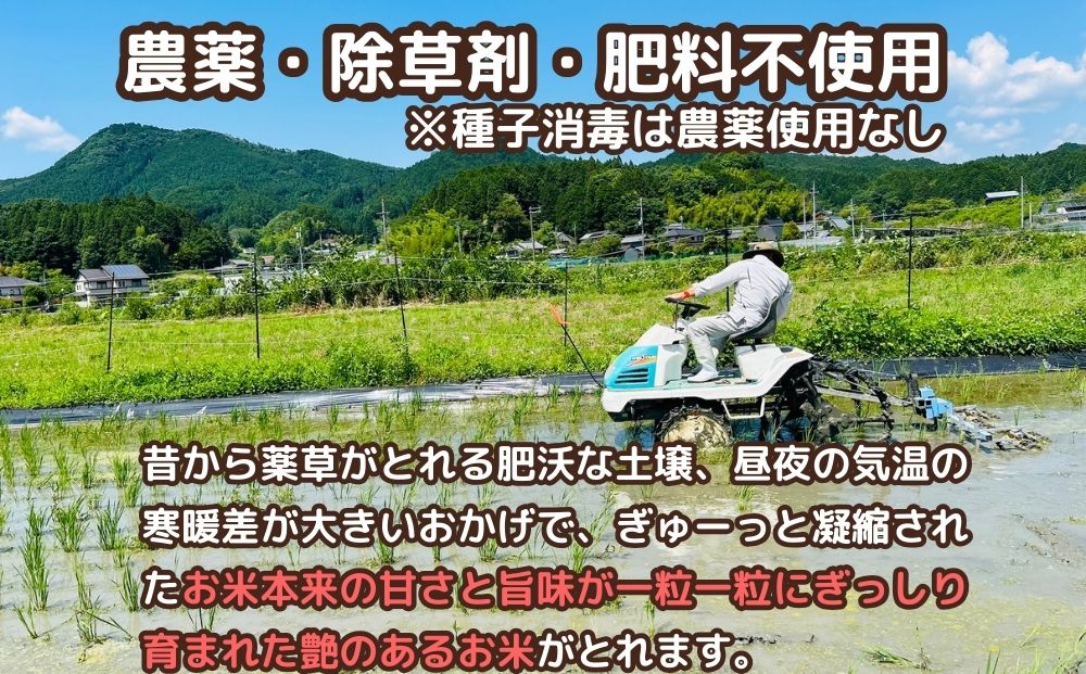 有機栽培米 令和6年産 玄米 奥大和高原米2kg／ 農家やまおか 有機 国産 お米 玄米 奈良県 宇陀市 ふるさと納税