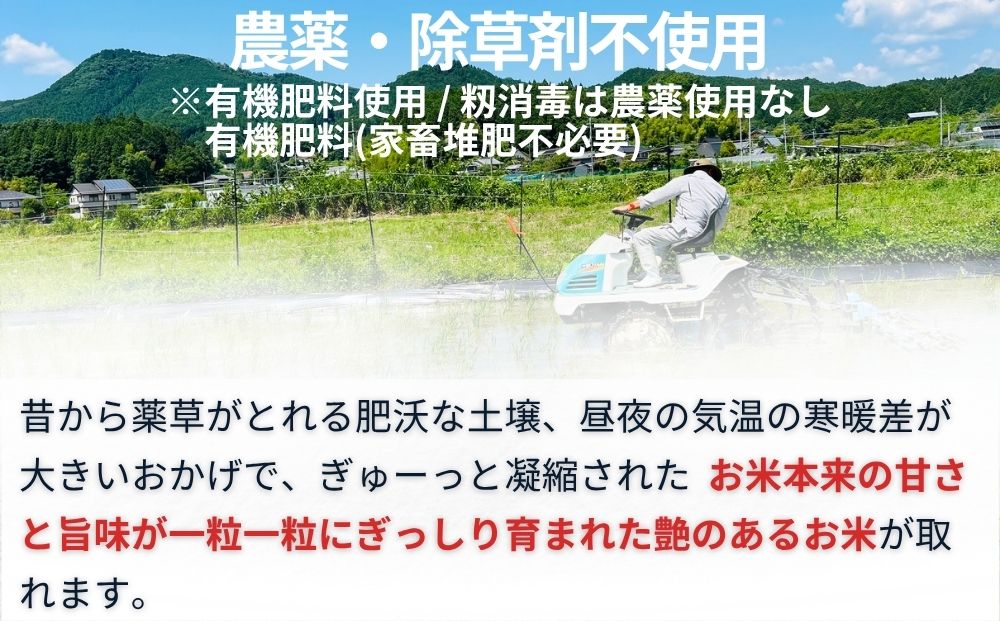 ãå®æäŸ¿6åã倩ççæŒ« 奥倧åé«åç±³ ïŒä»€å7å¹Žç£ çç±³ 3kgïŒ ïŒ ãµãããšçŽçš ç¡èŸ²è¬ ç±³ ãç±³ ãã ã³ã¡ åœç£ æ°ç±³ çç±³ äžçç±³ 蟲家ããŸãã ææ©è¥æäœ¿çš 蟲è¬äžäœ¿çš é€èå€äžäœ¿çš å¥è¯ç å®éåž