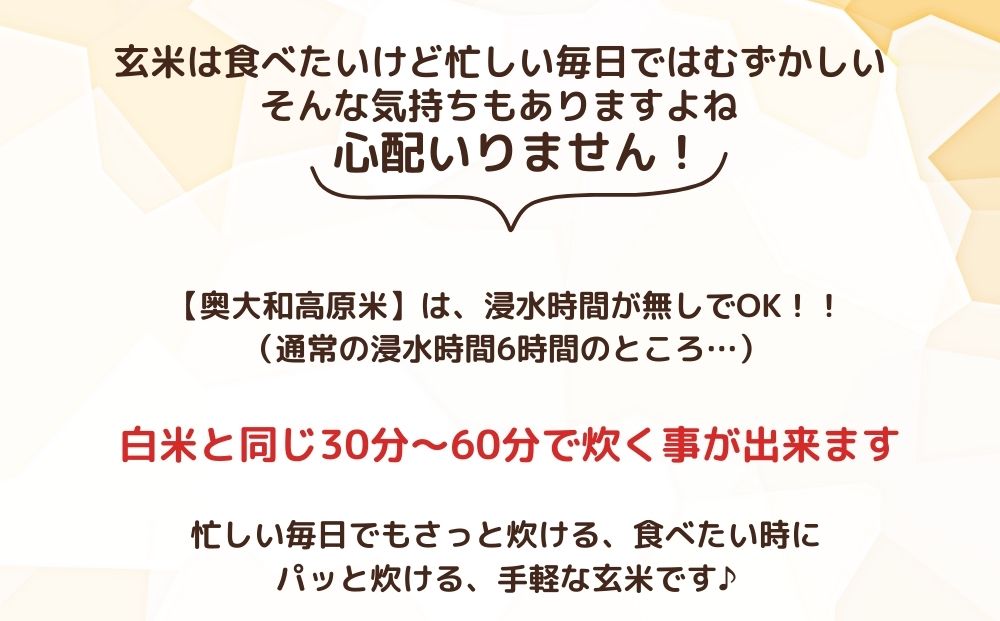 【毎月定期便6回】有機栽培米 令和6年産 玄米 奥大和高原米3kg／ 農家やまおか 有機 国産 お米 玄米 奈良県 宇陀市 ふるさと納税