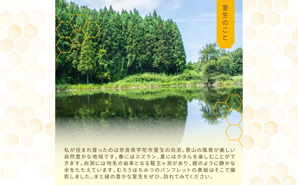 å¥è¯ç£çŽç²ã¯ã¡ã¿ã€1.2kgÃ2å(2400g)ïŒ ãããã¯ã¡ã¿ã€ 66832 宀ç åœç£ èè ãã㌠ã®ãã ãåãå¯ã ãµããããã å¥è¯ç å®éåž ãµãããšçŽçš