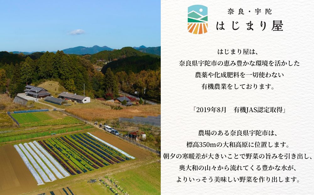 【期間限定】有機人参100％使用 人参ジュース 1000ml×2本 ギフト／ にんじん 有機野菜 無添加 野菜ジュース はじまり屋 奈良県 宇陀市 贈り物 ふるさと納税