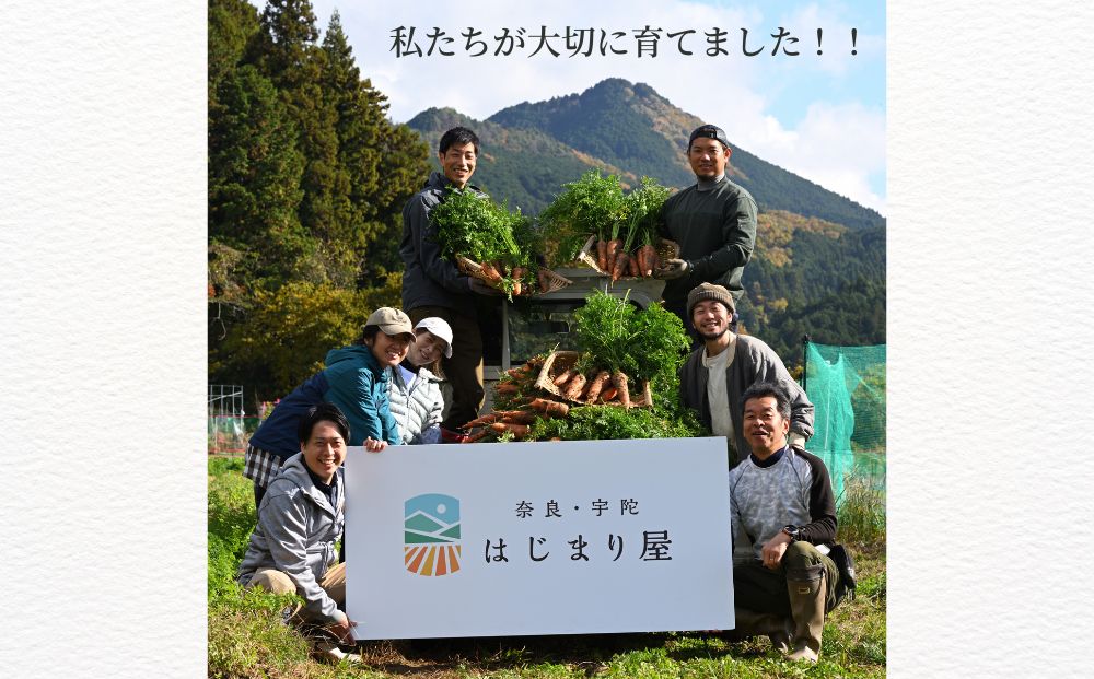 有機人参100％使用 人参ジュース 1000ml×6本／ にんじん 有機野菜 無添加 野菜ジュース はじまり屋 奈良県 宇陀市 贈り物 ギフト ふるさと納税