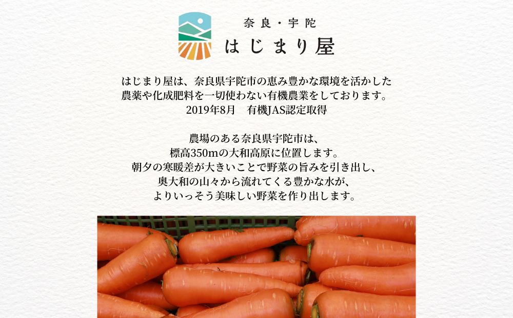 有機人参100％使用 人参ジュース 1000ml×6本／ にんじん 有機野菜 無添加 野菜ジュース はじまり屋 奈良県 宇陀市 贈り物 ギフト ふるさと納税