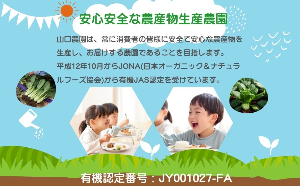 農家のたっぷり野菜カレー 10個／ふるさと納税 レトルトカレー 詰め合わせ ギフト 10食 野菜 ふるさと 有機野菜 オーガニック 飯 簡単 時短 保存食 奈良県 宇陀市 山口農園