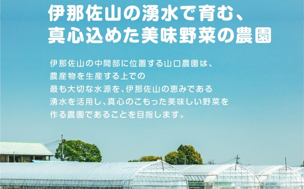 農家のたっぷり野菜カレー 10個／ふるさと納税 レトルトカレー 詰め合わせ ギフト 10食 野菜 ふるさと 有機野菜 オーガニック 飯 簡単 時短 保存食 奈良県 宇陀市 山口農園