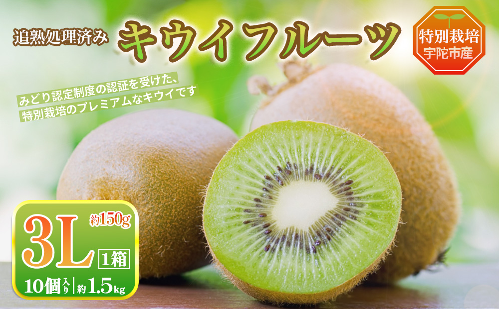 ＜2026年2月〜3月発送＞プレミアム キウイ フルーツ 3L サイズ 10個入 追熟処理済 ／ ふるさと納税 キウイ キウイフルーツ ギフト 栄養 果物 お土産 化学肥料不使用 特別栽培 塩 奈良県 宇陀市 やまとファームJAPAN
