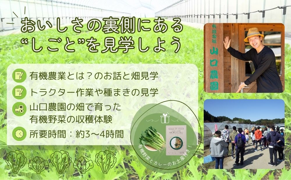 有機農業 就業体験 ツアー お土産付 10名様迄／ 収穫体験 種まき トラクター 農家 有機野菜 オーガニック 無農薬 SDGs 関西 チケット カレー 山口農園 奈良県 宇陀市 ふるさと納税