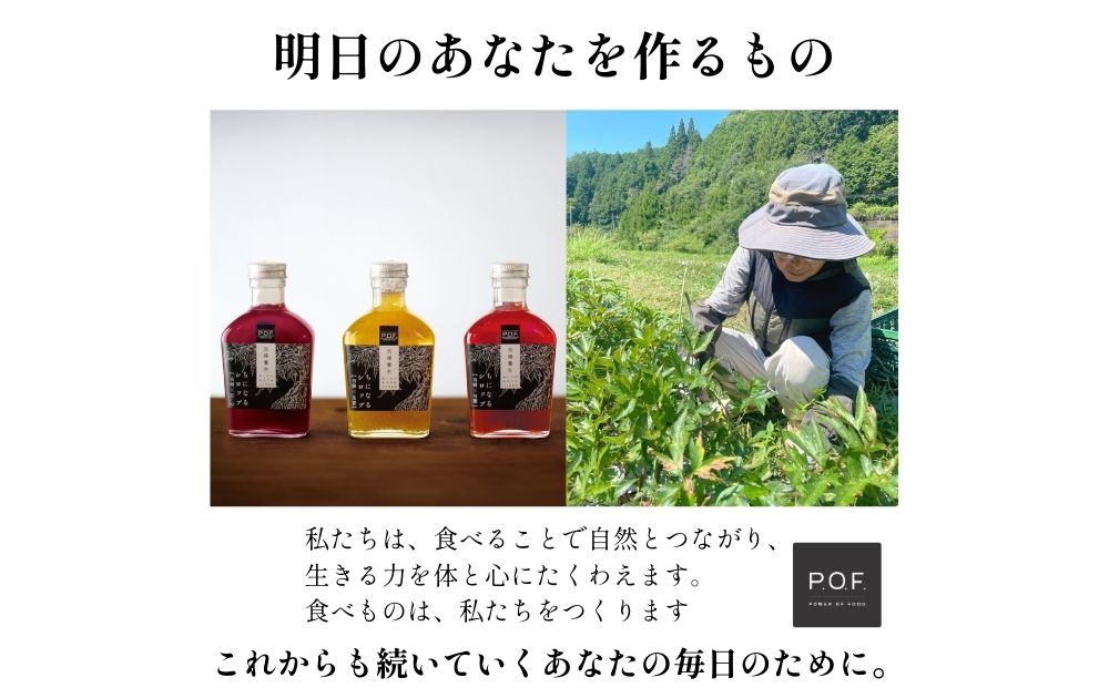 ちになるシロップ＜大和当帰×棗＞800ml 1本／ ふるさと納税 棗 シロップ 瓶 ガラス瓶 国産 食材 炭酸 大和当帰葉 有機 お湯割り 甜菜糖 ハチミツ はちみつ 送料無料 ち 奈良県 宇陀市 POWER OF FOOD