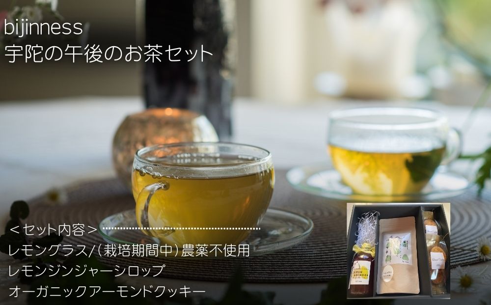宇陀の午後のお茶セット (化粧箱入り) ／ ふるさと納税 ハーブティー ティーバック セット ギフト お茶 クッキー おやつ お土産 贈り物 シロップ ヨーグルト ホット アイス 国産 奈良県 宇陀市 bijinness
