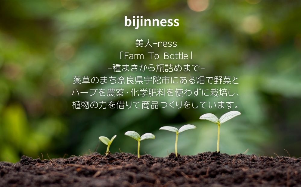 宇陀の午後のお茶セット (化粧箱入り) ／ ふるさと納税 ハーブティー ティーバック セット ギフト お茶 クッキー おやつ お土産 贈り物 シロップ ヨーグルト ホット アイス 国産 奈良県 宇陀市 bijinness
 