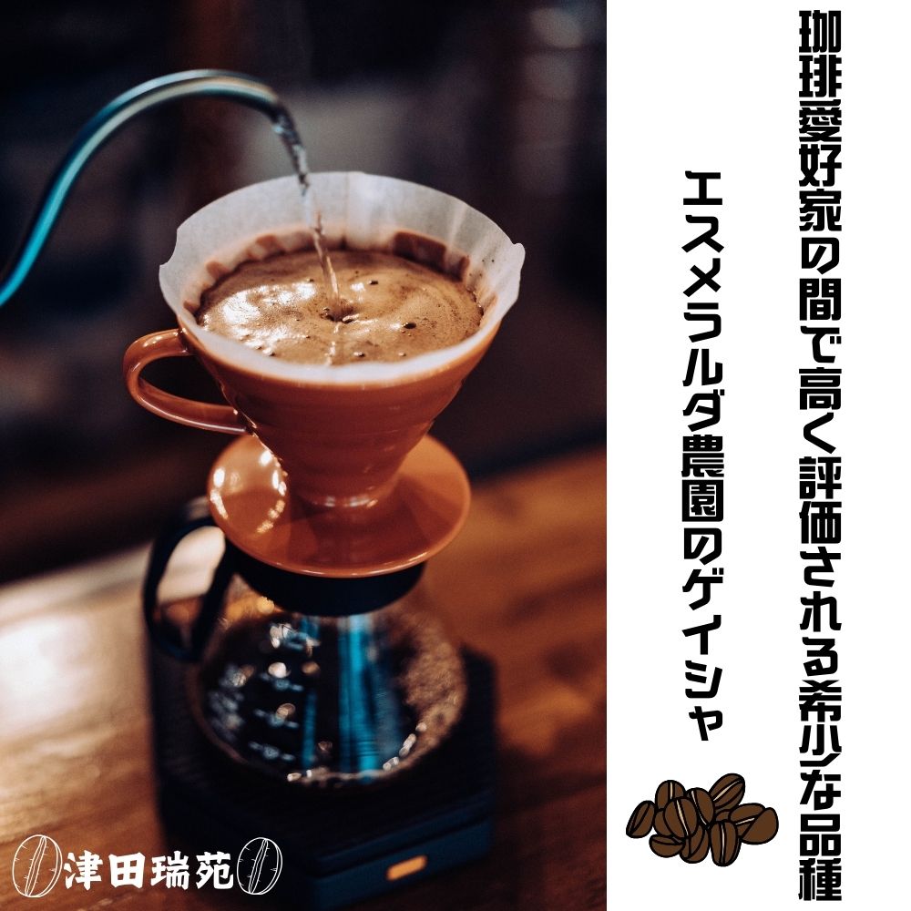 エスメラルダ農園ゲイシャ・プライベートコレクションナチュラル:浅煎りと深煎り(豆)のデュオ/津田瑞苑 コーヒー豆 自家焙煎 父の日 ご挨拶 パナマ 奈良県 宇陀市