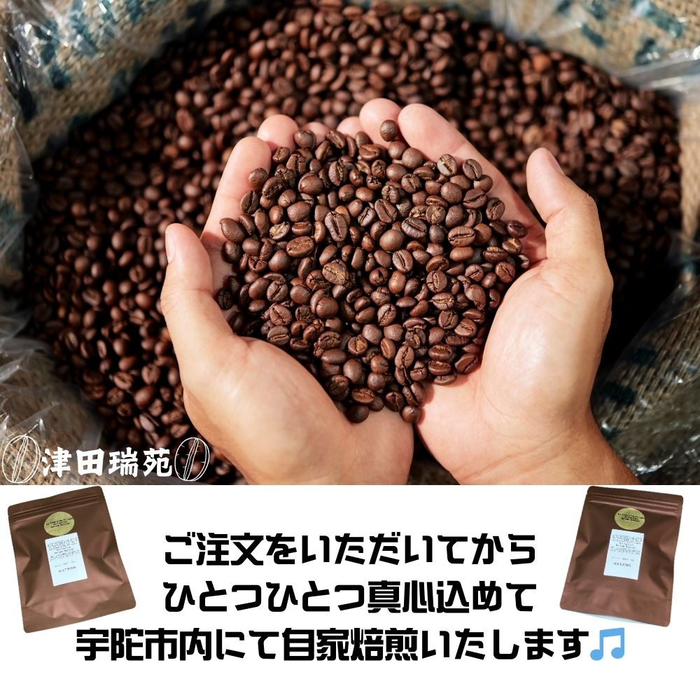 エスメラルダ農園ゲイシャ・プライベートコレクションナチュラル:浅煎りと深煎り(豆)のデュオ/津田瑞苑 コーヒー豆 自家焙煎 父の日 ご挨拶 パナマ 奈良県 宇陀市