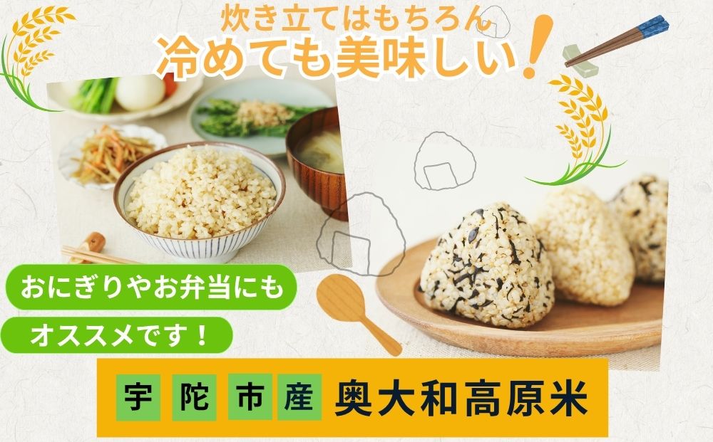 【定期便12回】自然栽培米 玄米 ＜令和7年産 3kg＞ ／ ふるさと納税 無農薬 米 お米 一等米 こめ コメ 国産 新米 玄米 農家やまおか 奈良県 宇陀市
