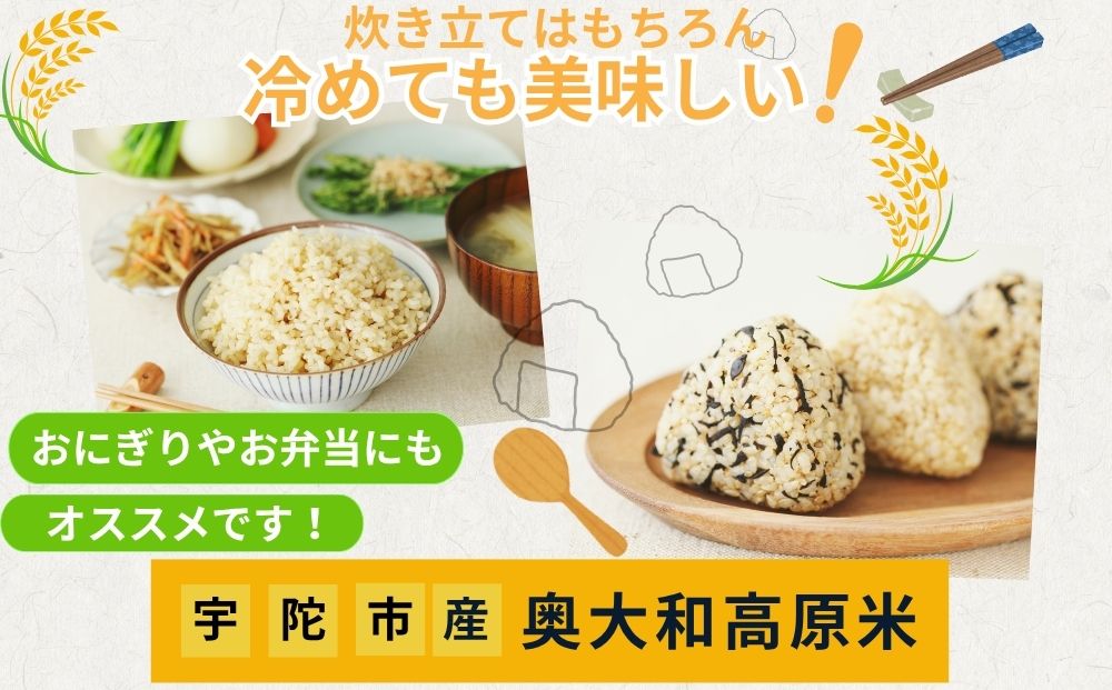 【定期便3回】 特別栽培米 ＜令和7年産 玄米 3kg＞ / ふるさと納税 栽培期間中農薬不使用 米 お米 こめ コメ 国産 新米 玄米 農家やまおか 奈良県 宇陀市
