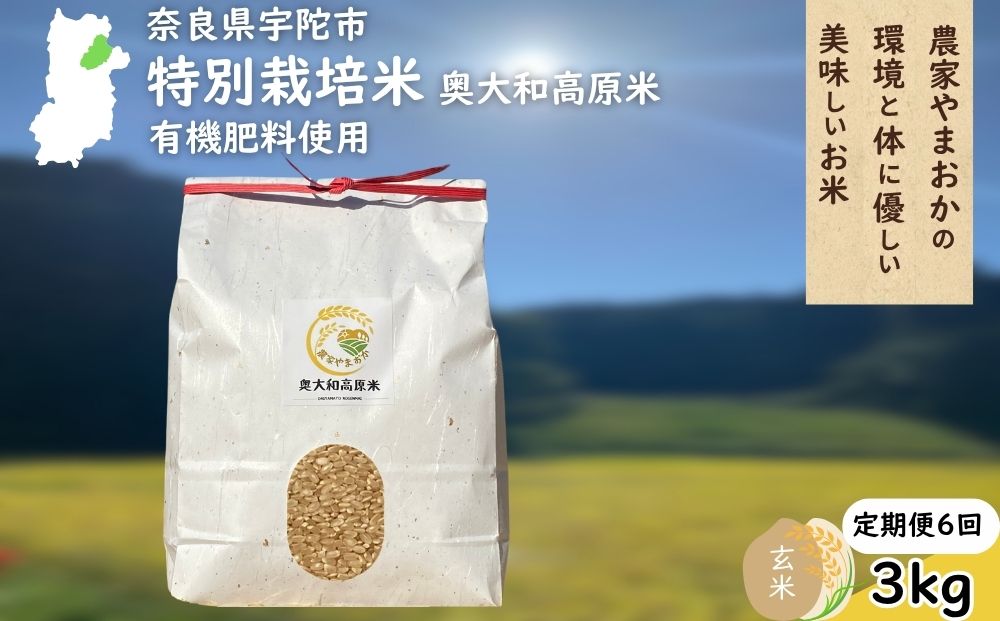 【定期便6回】 特別栽培米 ＜令和7年産 玄米 3kg＞ / ふるさと納税 栽培期間中農薬不使用 米 お米 こめ コメ 国産 新米 玄米 農家やまおか 奈良県 宇陀市