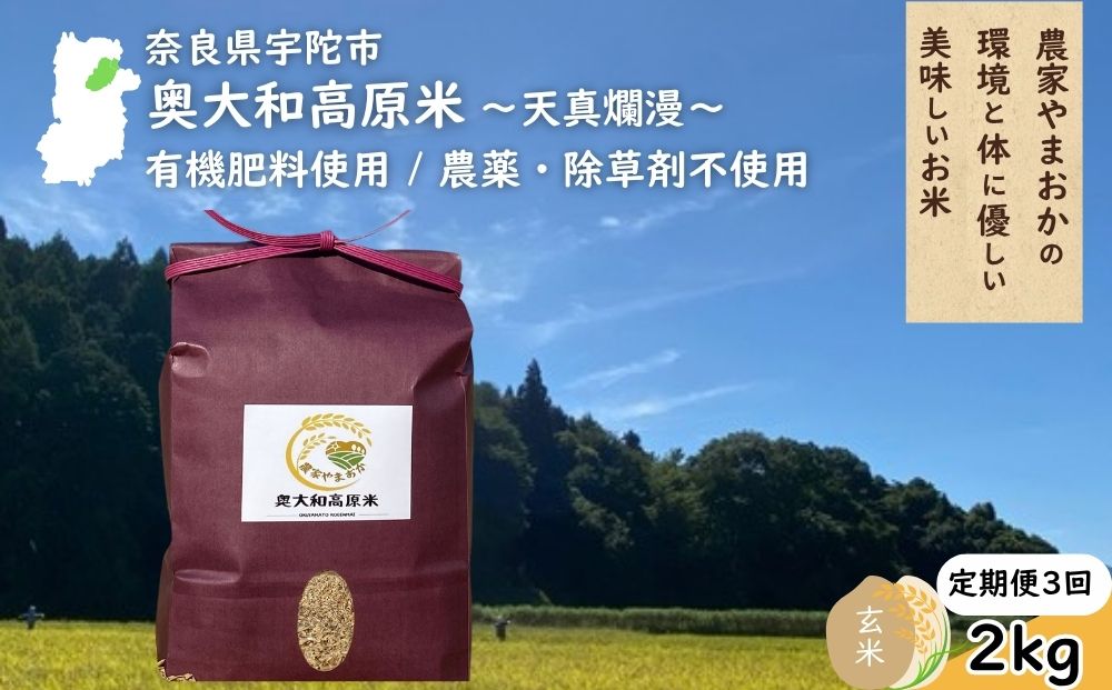 【定期便3回】天真爛漫 奥大和高原米 ＜令和7年産 玄米 2kg＞ ／ ふるさと納税 無農薬 米 お米 こめ コメ 国産 新米 玄米 一等米 農家やまおか 有機肥料使用 農薬不使用 除草剤不使用 奈良県 宇陀市