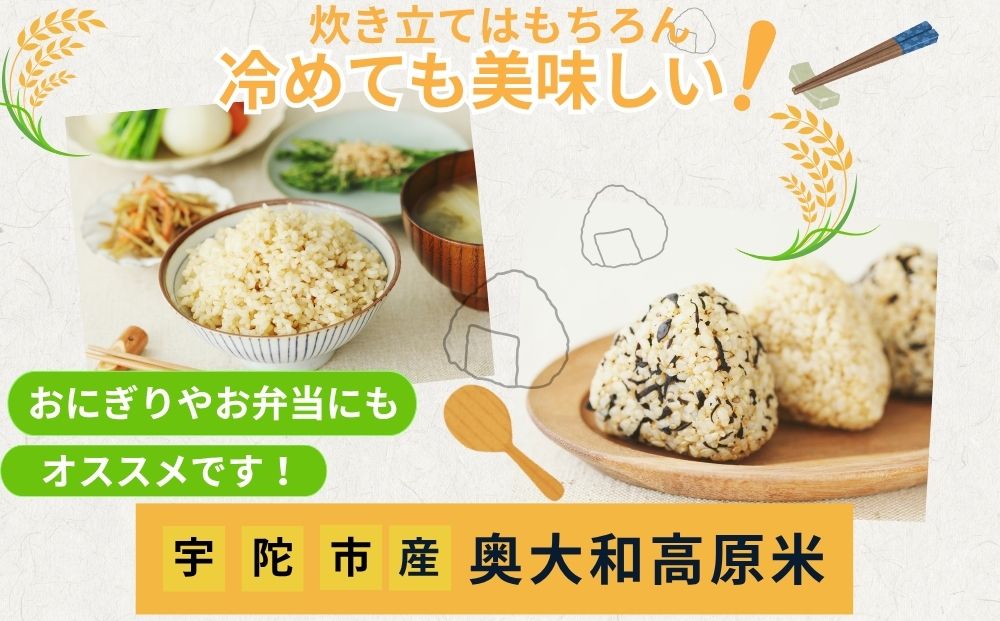 【定期便12回】天真爛漫 奥大和高原米  ＜令和7年産 玄米 3kg＞ ／ ふるさと納税 無農薬 米 お米 こめ コメ 国産 新米 玄米 一等米 農家やまおか 有機肥料使用 農薬不使用 除草剤不使用 奈良県 宇陀市