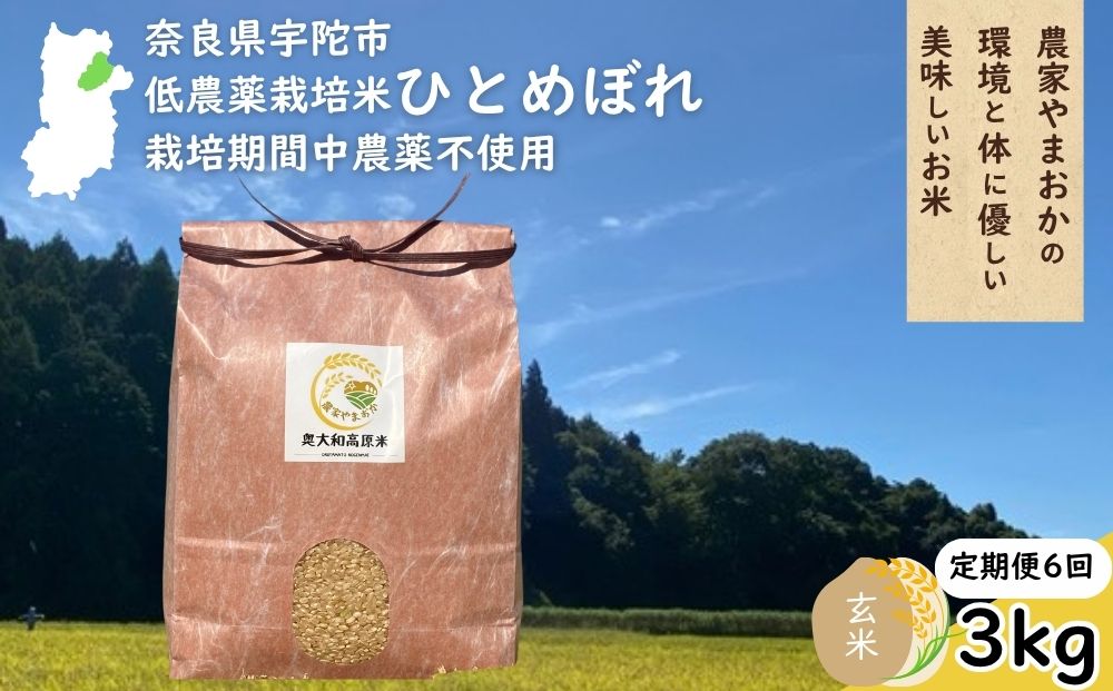【定期便6回】ひとめぼれ 低農薬栽培＜令和7年産 玄米 3kg ＞ / ふるさと納税 低農薬 米 お米 こめ コメ 国産 新米 玄米 一等米 農家やまおか 奈良県 宇陀市