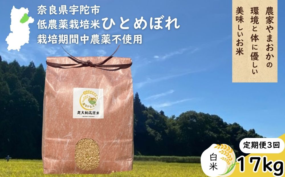 【定期便3回】ひとめぼれ 低農薬栽培＜令和7年産 白米 17kg ＞ / ふるさと納税 低農薬 米 お米 こめ コメ 国産 新米 玄米 一等米 農家やまおか 奈良県 宇陀市