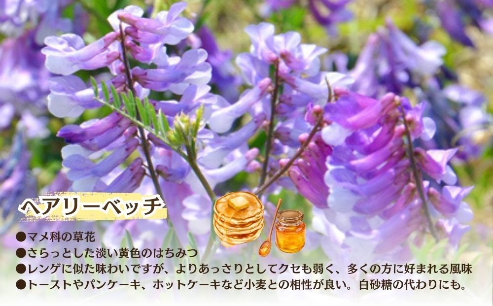 【定期便3回】むろうはちみつ 奈良産 純粋はちみつ へアリーベッチ (600g×3回)／ 66832 室生 国産 蜂蜜 ハニー ギフト お取り寄せ ふくさきわう 奈良県 宇陀市 ふるさと納税