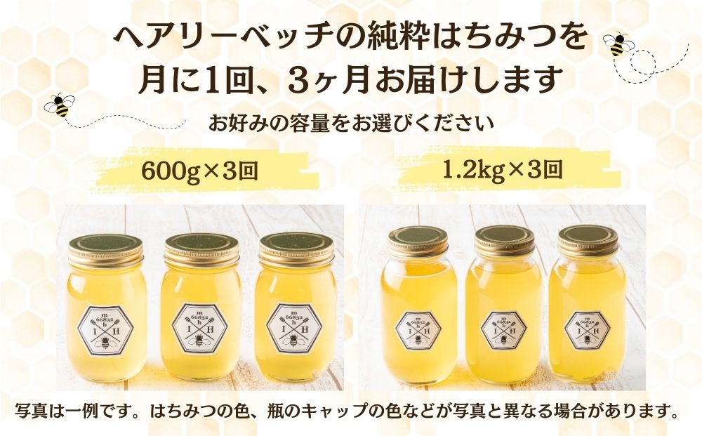【定期便3回】むろうはちみつ 奈良産 純粋はちみつ へアリーベッチ (1.2kg×3回)／ 66832 室生 国産 蜂蜜 ハニー ギフト お取り寄せ ふくさきわう 奈良県 宇陀市 ふるさと納税