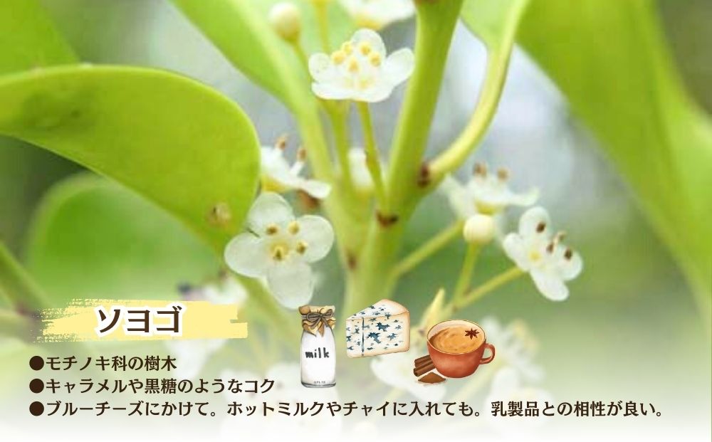 ãå®æäŸ¿3åããããã¯ã¡ã¿ã€ å¥è¯ç£ çŽç²ã¯ã¡ã¿ã€ ããã (600gÃ3å)ïŒ 66832 宀ç åœç£ èè ãã㌠ã®ãã ãåãå¯ã ãµããããã å¥è¯ç å®éåž ãµãããšçŽçš