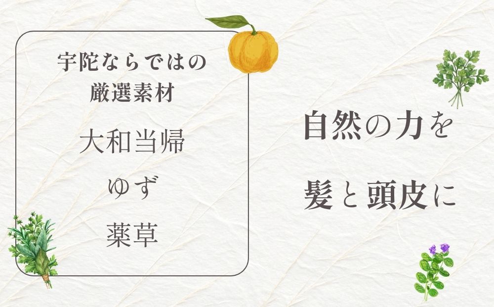 【定期便12回】大和当帰美人 髪だより EXTEシャンプー 詰め替え用 1000ml ／ふるさと納税 エクステ 大和当帰  ボトル メンズ 大容量 いい香り髪の美容液 髪整う 自然の力 頭皮 奈良県 宇陀市