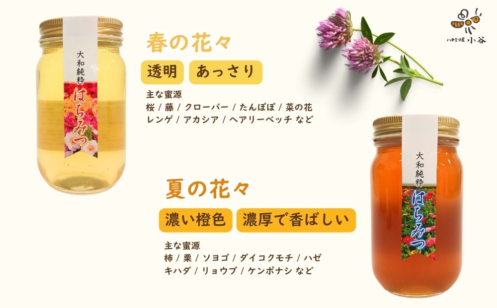 大和純粋はちみつ ギフト セット／ 国産 純粋 百花蜜 蜂蜜 ハチミツ ハニー 非加熱 無精製 贈答用 贈り物 お祝い 母の日 父の日 敬老の日 ハチミツ屋小谷 奈良県 宇陀市 ふるさと納税