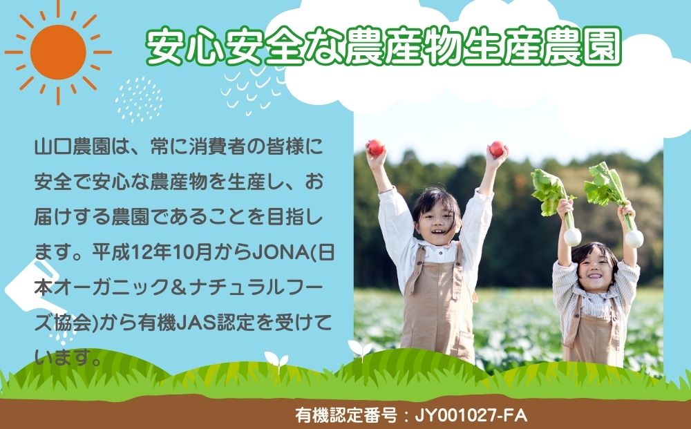 農家のたっぷり野菜カレー ２０個／ふるさと納税 山口農園 有機野菜 オーガニック 伝統野菜 レトルト 詰め合わせ カレー ギフト カレーセット スパイス 飯 キャンプお取り寄せ 奈良県 宇陀市 ご当地 簡単 お歳暮 暑中見舞い 保存 時短 国産 保存食 
