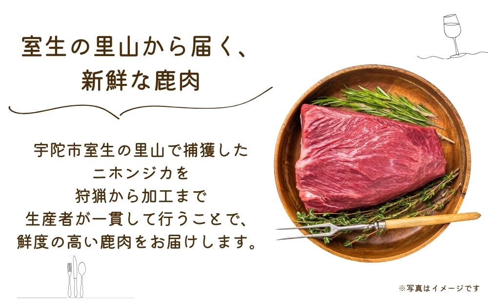 冷凍 塩糀漬け鹿肉 鹿の花 (120g×5袋)／ ジビエ 焼肉 味付き肉 簡単調理 国産 琴弾アンナプルナ 奈良県 宇陀市 ふるさと納税