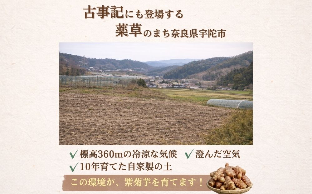 ＜定期便3回＞ 奈良県宇陀市産 紫菊芋タブレット【90g×1袋（約30日分）】 ／ ふるさと納税 福角兄弟農園 菊芋 タブレット 菊芋粉末 イヌリン豊富 食物繊維 健康習慣 無添加 血糖値対策 腸活 腸内環境 農家直送