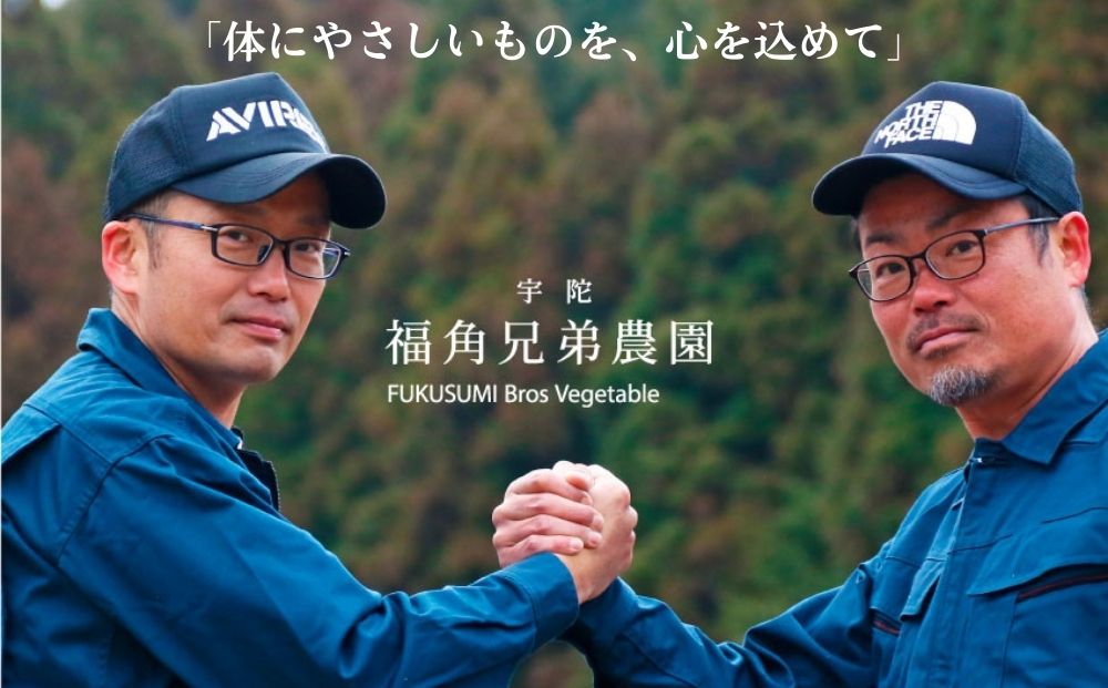 ＜定期便3回＞ 奈良県宇陀市産 紫菊芋タブレット【90g×1袋（約30日分）】 ／ ふるさと納税 福角兄弟農園 菊芋 タブレット 菊芋粉末 イヌリン豊富 食物繊維 健康習慣 無添加 血糖値対策 腸活 腸内環境 農家直送