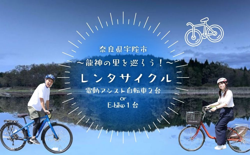【室生口大野駅発】電動レンタサイクル1日利用券（9:00～17:00）選べるペア利用（2台）または高性能E-bike ／ ふるさと納税 宇陀 室生観光 電動自転車 観光 龍穴神社 アクセス サイクリング パワースポット 巡り 奈良県 宇陀市