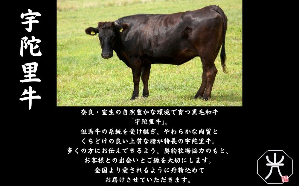 宇陀里牛 サーロインステーキ 4枚 (1枚 約200g) ／ ふるさと納税 国産 黒毛和牛 牛肉 ステーキ バーベキュー BBQ キャンプ お中元 暑中見舞い お土産 お歳暮 正月 奈良県 宇陀市 光福久屋