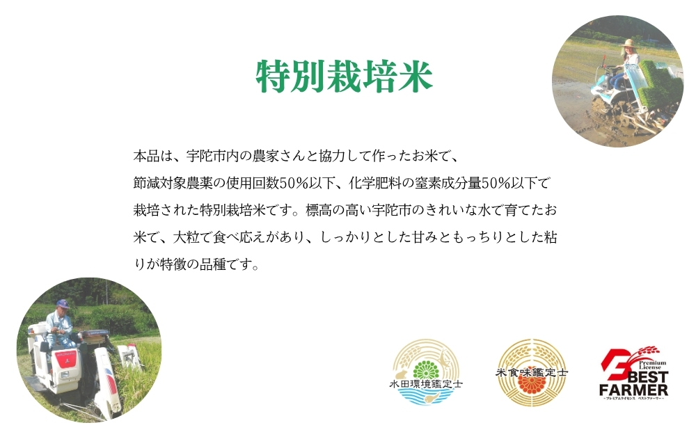 令和7年宇陀市産 大和高原米 にじのきらめき 白米5kg / 令和7年宇陀市産 米 こめ お米 お取り寄せ 美味しい オススメ 大和高原米 精米済 奈良 宇陀 新米 白米 にじのきらめき 米工房はやし ふるさと納税