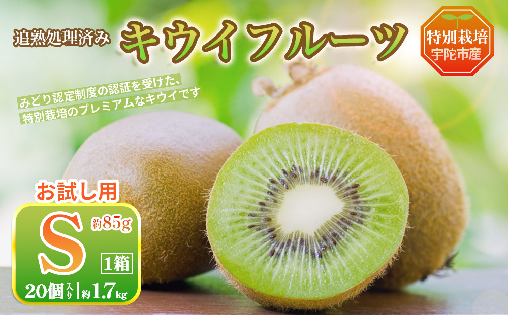 ＜12月〜3月発送＞プレミアム キウイ フルーツ Sサイズ 20個入 お試し 追熟処理済 ／ ふるさと納税 キウイ キウイフルーツ 訳あり 栄養 果物 化学肥料不使用 特別栽培 奈良県 宇陀市 やまとファームJAPAN