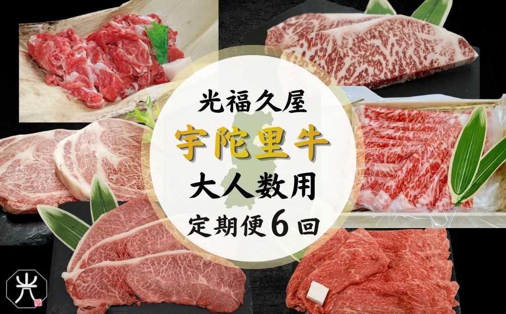 【宇陀里牛 定期便6回 (大人数向け) 】黒毛和牛セット ／ふるさと納税 大容量 宇陀里牛 黒毛和牛 牛肉セット 焼肉 ステーキ すき焼き 6回配送 国産和牛 光福久屋 奈良県 宇陀市