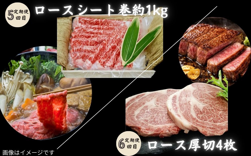 ãå®ééç å®æäŸ¿6å (倧人æ°åã) ã黿¯åçã»ãã ïŒãµãããšçŽçš 倧容é å®ééç 黿¯åç çèã»ãã çŒè ã¹ããŒã ããçŒã 6åé
é åœç£åç å
çŠä¹
å± å¥è¯ç å®éåž
