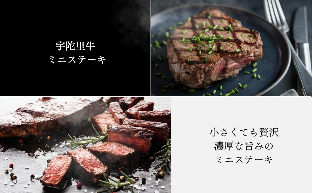 宇陀里牛 BMHセット（ベーコン500g・ミニステーキ2枚・ハンバーグ2個） ／ ふるさと納税 国産 黒毛和牛 牛肉 ステーキ バーベキュー BBQ キャンプ お中元 暑中見舞い お土産 お歳暮 正月 奈良県 宇陀市 光福久屋