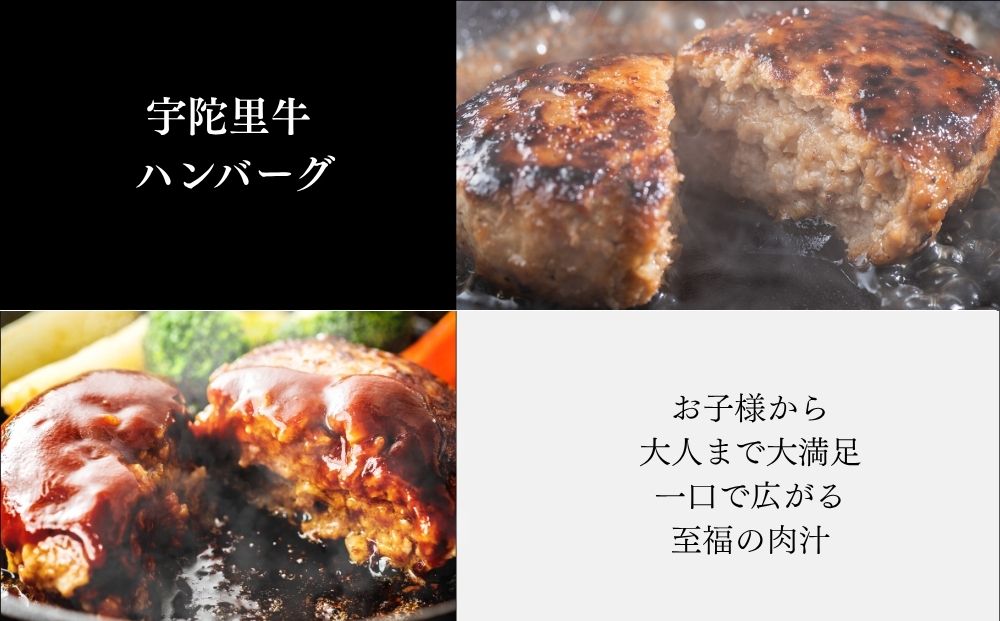 宇陀里牛 BMHセット（ベーコン500g・ミニステーキ2枚・ハンバーグ2個） ／ ふるさと納税 国産 黒毛和牛 牛肉 ステーキ バーベキュー BBQ キャンプ お中元 暑中見舞い お土産 お歳暮 正月 奈良県 宇陀市 光福久屋