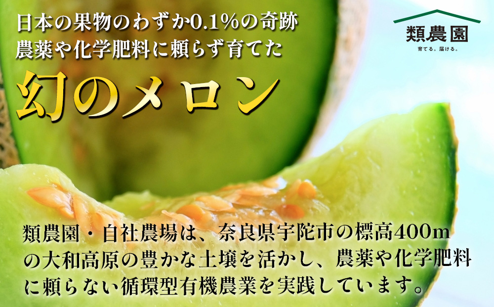 【期間限定】有機メロン「あま玉」1玉 Lサイズ 1.4kg～【R8年7月15日より順次発送】