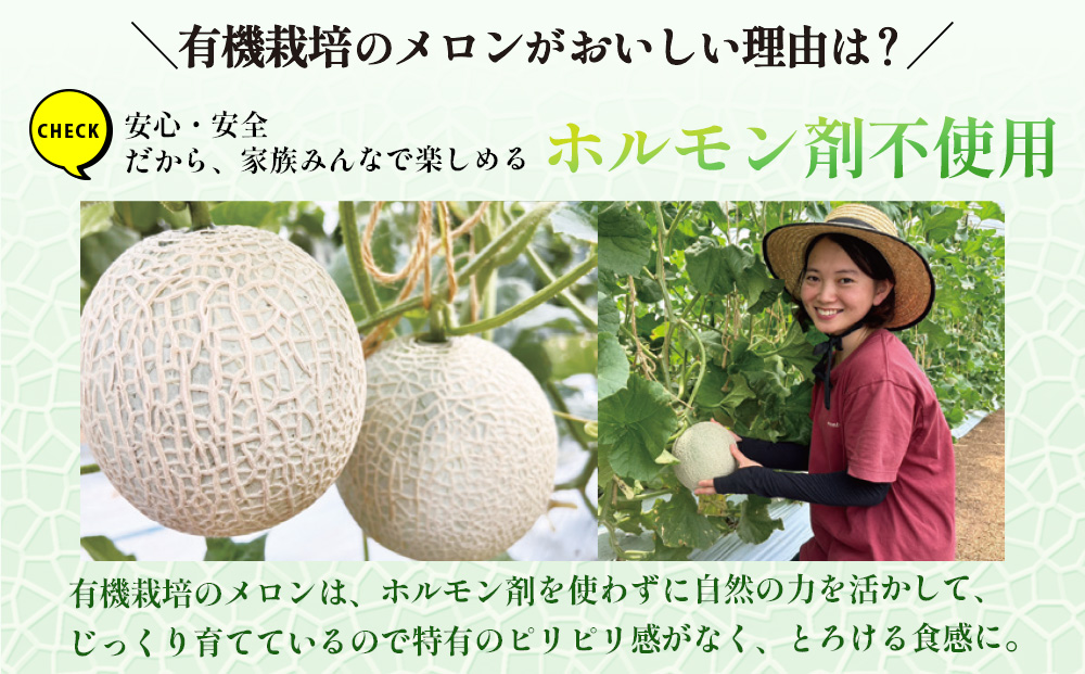 【期間限定】有機メロン「あま玉」1玉 Lサイズ 1.4kg～【R8年7月15日より順次発送】