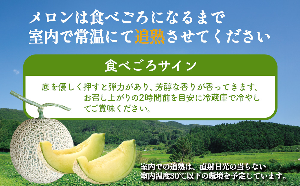 【期間限定】有機メロン「あま玉」1玉 Lサイズ 1.4kg～【R8年7月15日より順次発送】