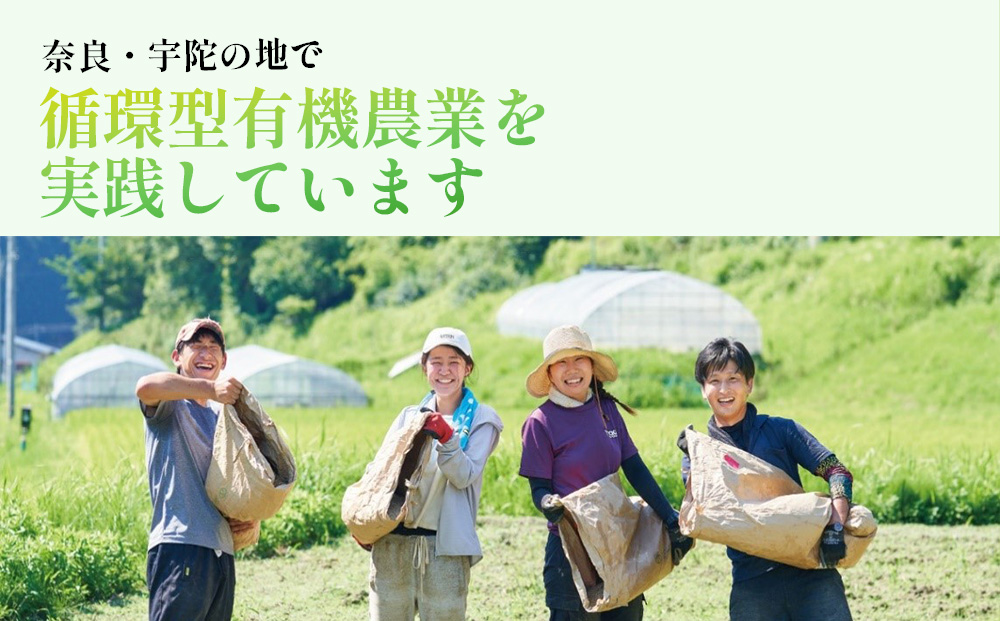 【期間限定】有機メロン「あま玉」1玉 Lサイズ 1.4kg～【R8年7月15日より順次発送】