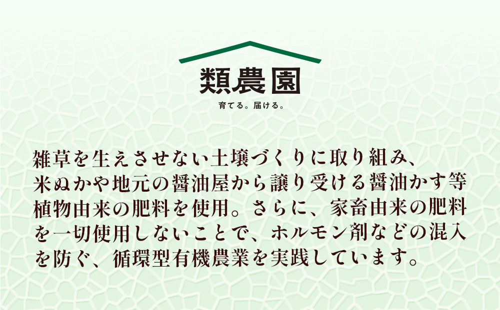 【期間限定】有機メロン「あま玉」1玉 Lサイズ 1.4kg～【R8年7月15日より順次発送】